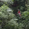 ziplining2