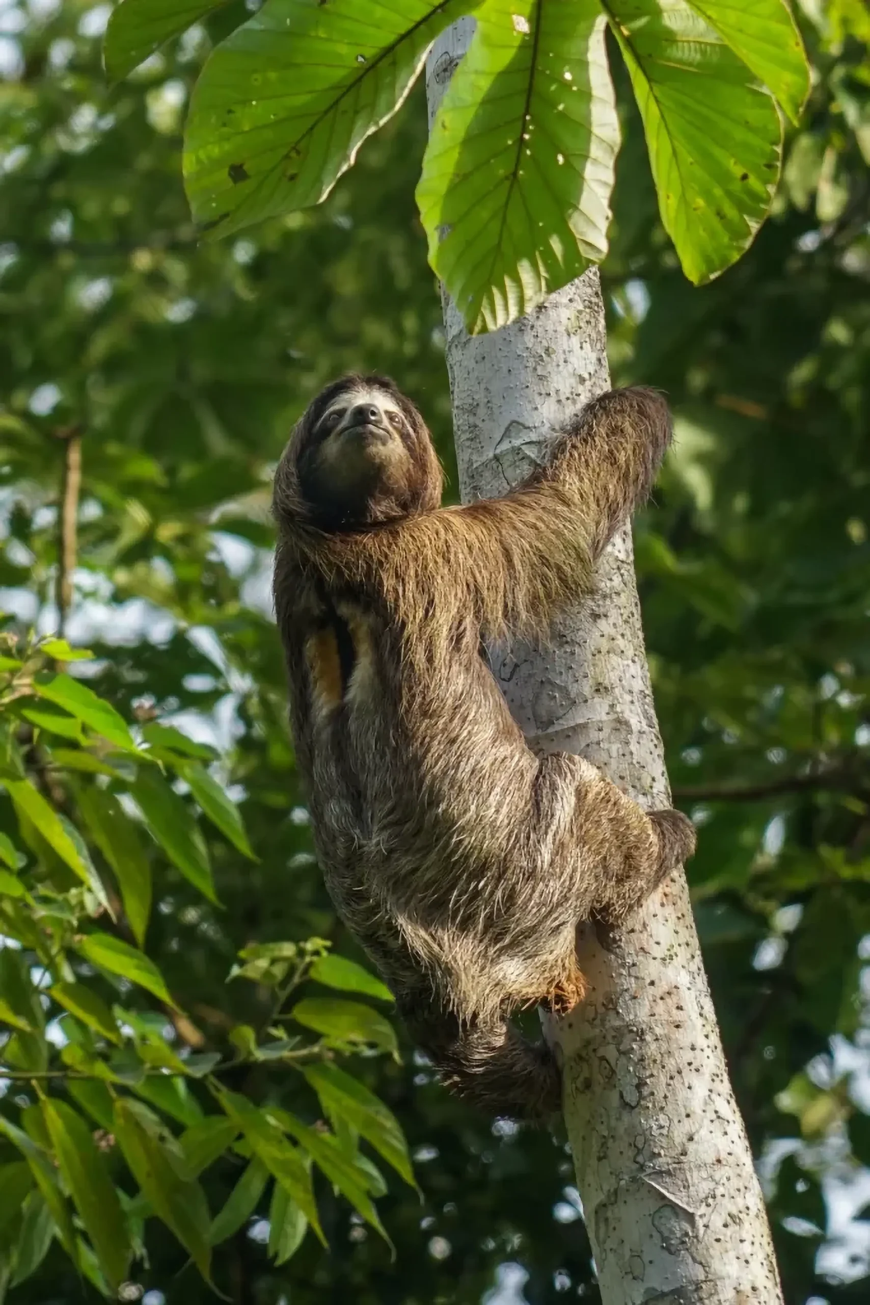 Get ready to discover Panama!